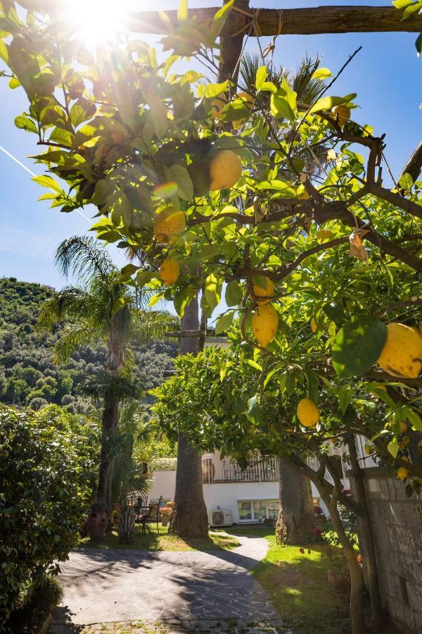 Casa Beatrice Bed & Breakfast Sorrento Luaran gambar